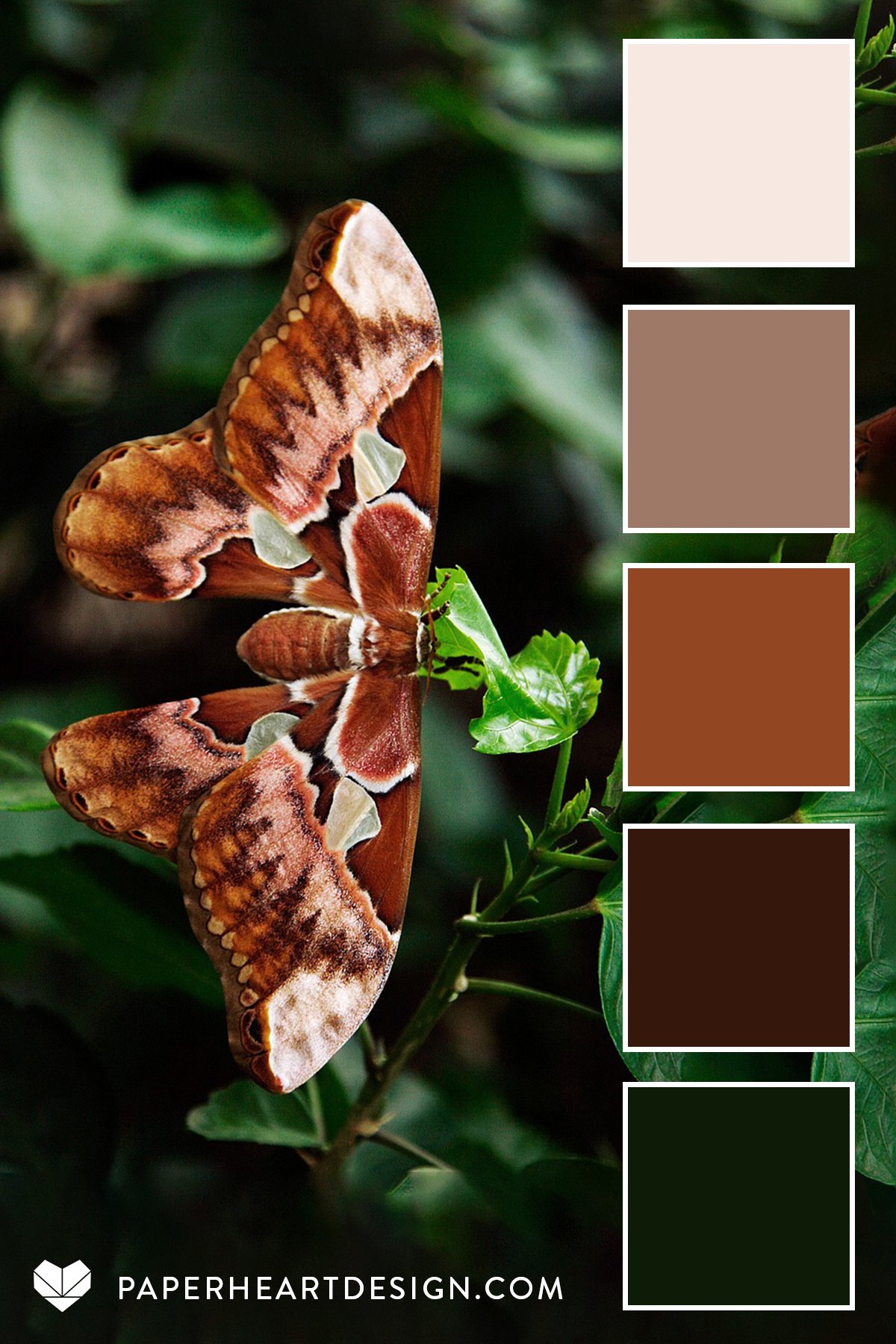 Сочетания с Mocha Mousse