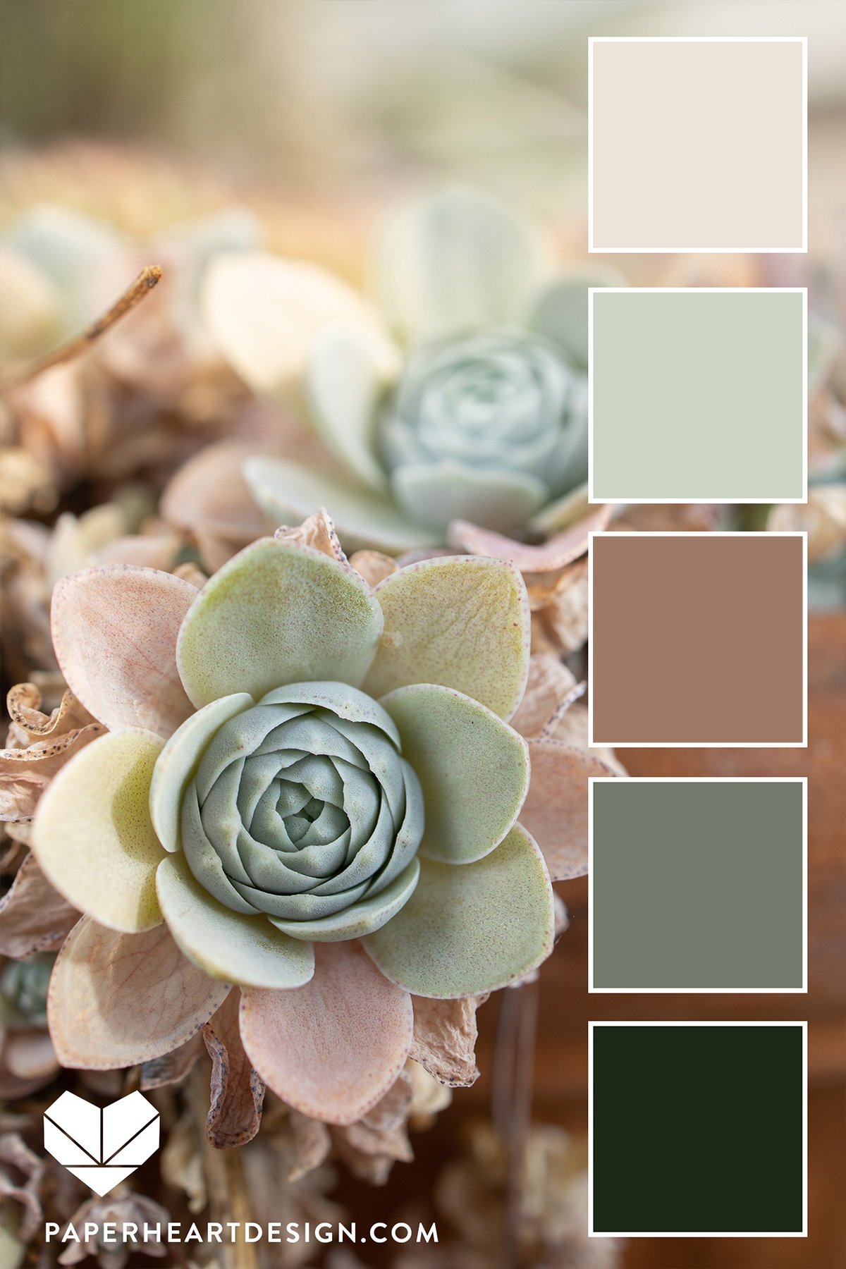 Сочетания с Mocha Mousse